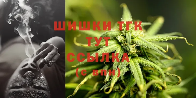 Марихуана THC 21%  дарнет шоп  Котлас 